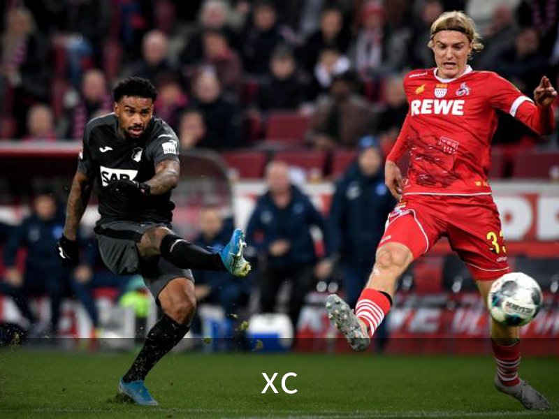 xc概况